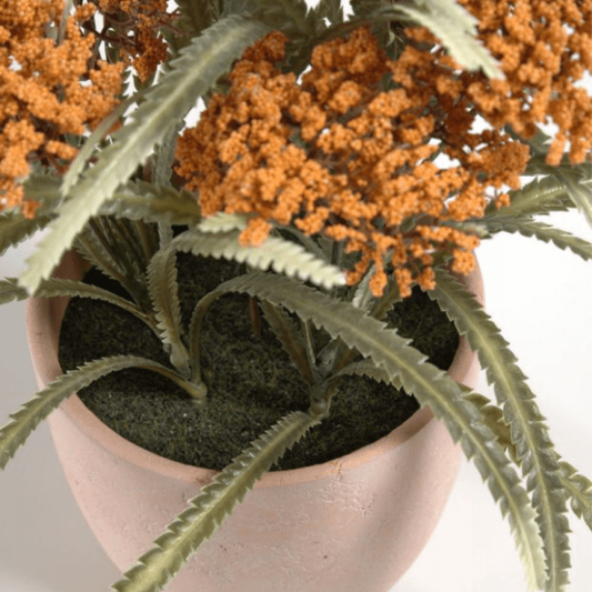 Lunar Artificial Leonurus Plant